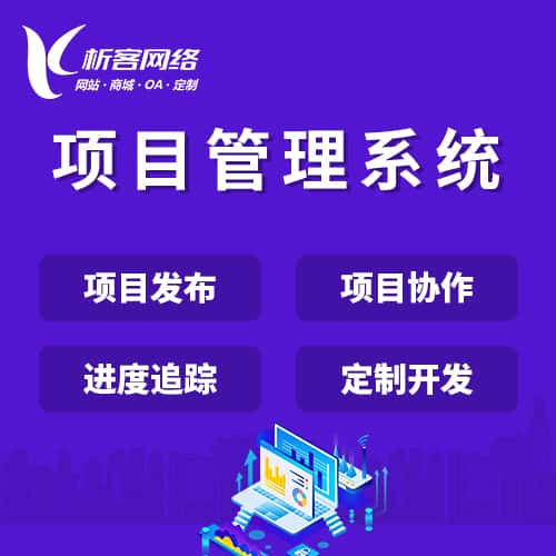 沈阳项目管理系统