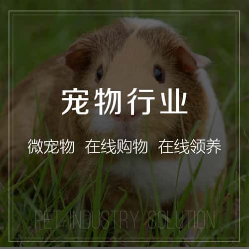 沈阳宠物