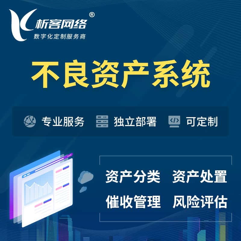 沈阳不良资产管理系统