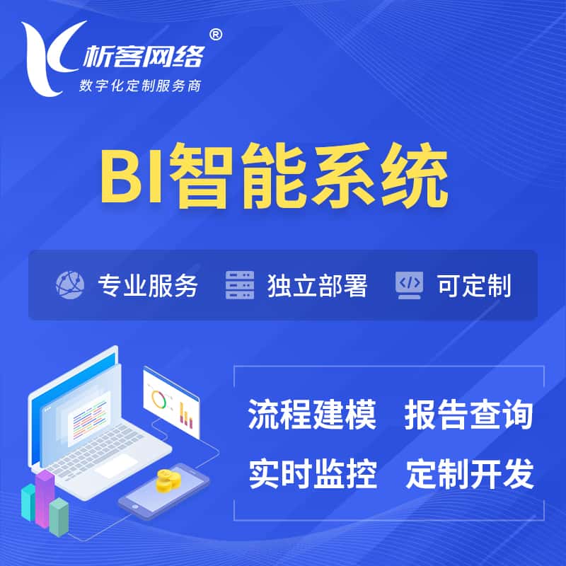 沈阳BI智能系统 | BI数据可视化