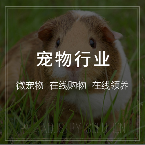 沈阳政府网站无障碍化改造标准解读